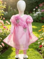Girls Fancy Chiffon Stone Work Dress with Katan Chamki Trouser - Image 4